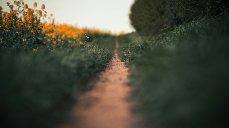 Choisir le bon chemin